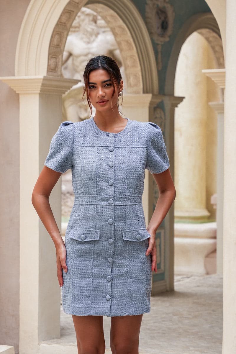 Stassie Mini Dress